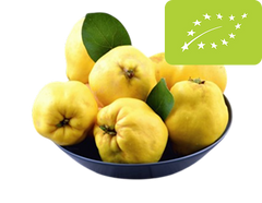 <strong>ORGANIC products</strong>